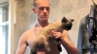 Best of Funny Cats Short Compilation with Sound Effects