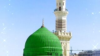 دل نشیں دلربا ہے محمدؐ کا نام