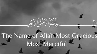 Quran majid beauty full vocie #shorts