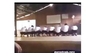 funny videos