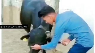 funny video