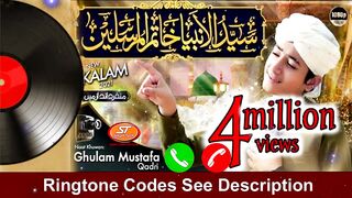 Syedul Anbiya Khatimul Mursaleen | Ghulam Mustafa Qadri | Zeera Gold | Smart Tech