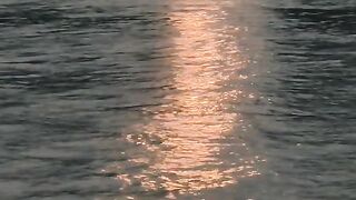 Morning sun nature video