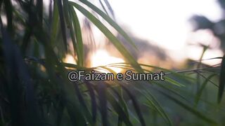 Fajar Alarm ⏰| Alarm Tone| Namaz Alarm| Azan Fajar| Adhan Alarm| Alarm Tone|