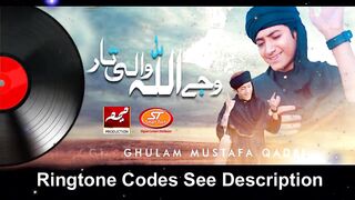 Wajey ALLAH Wali Taar | Ghulam Mustafa Qadri | Meem Production | Smart Tech