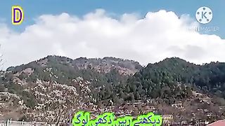 Paharri songs