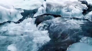 Ice Cold