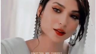 Pakistani Female Characters