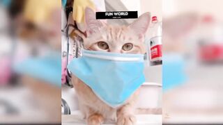 Funny animals doing naughty things compilation 2023
