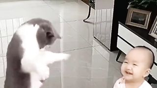Funny cat dance video ????????♥️????????