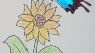 How to draw a sunflower