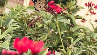 Amazing natural scenery |relaxing music for stress relief