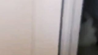 Funny & cute cats
