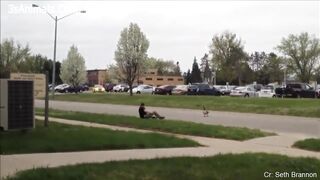 Funny Animals Scarring And Chasing People 2023 Compilation