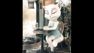 Talking Tom Video Very funny