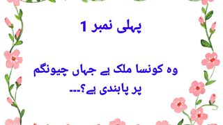 New 2023 paheliyan/ Riddles in urdu/ hindi