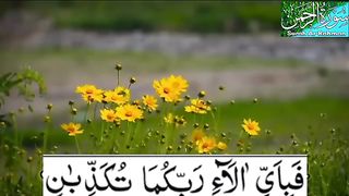 Al Rehman
