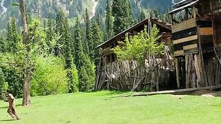 Kashmir tour l Kashmir natural beauty l live dunya