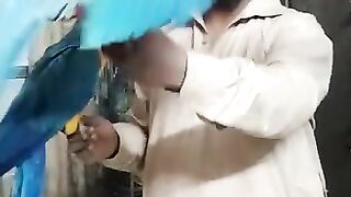 Big birds | macaw parrot love
