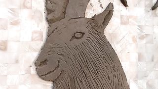How to make a national Animal