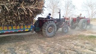 MF 385 gana upload