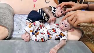Ruby's baby monkey angel's sleep