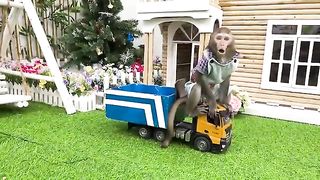 Smart Monkey baby Bim Bim harvests fruit to make smoothies and play with friends