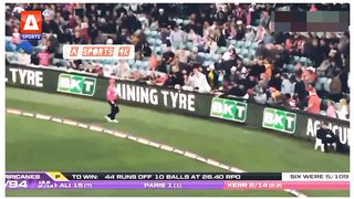 Asif Ali 41 runs in BBL 2023