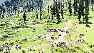 Kashmeer senres