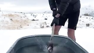 Funny video 2023