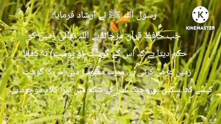 Hazrat Muhammad Saw ki Hadees
