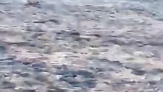 Beautiful Seanory of Dibba Sea Shaoib Vlog Shorts