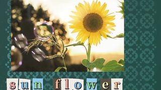 Flower names