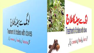 Treatment of cholera with cloves