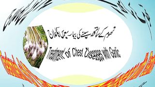 Treatment of Chest Diseases with Garlic
