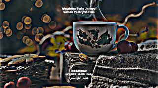 Maulana Tariq Jameel Sahab Poetry Status