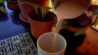 Tea Time
