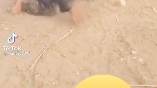 Funny video ????????????