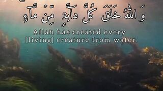 Tilawat e Quran