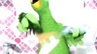 Parrot new video