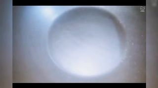 Chicken manchurian with fried rice recipe 2023 rameem kitchen offical