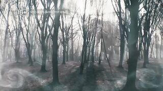 Самые шокирующие гипотезы (27.01.2023)