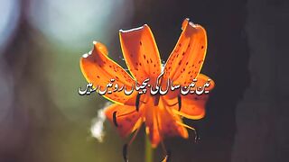 Ajmal raza qadri بحث سے رشتہ تباہ ہو جاتے ہیں
