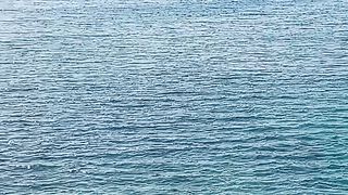 Beautiful Beach