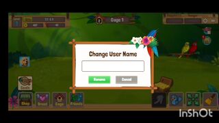 Birds video|| video for kids