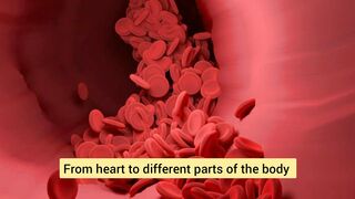 9 best ways to clean arteries naturally