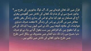 Urdu Quotes