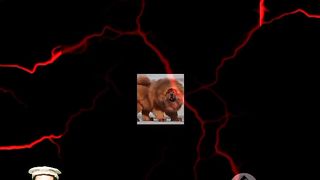 Most dangerous dogs in the world #viral #dogs