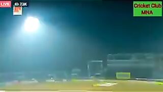 Cricket fans