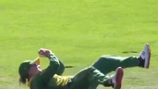 Cricket